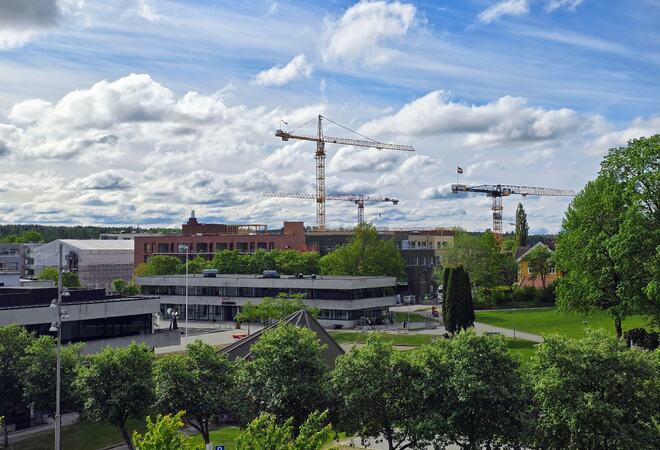 Utsikt over Ås sentrum med heisekraner i bakgrunnen