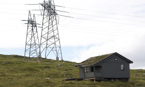 Foto: Leif Magne Flemmen Foto: Leif Magne Flemmen