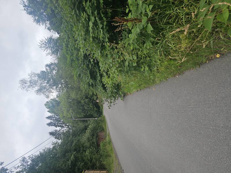 Saksbilde
