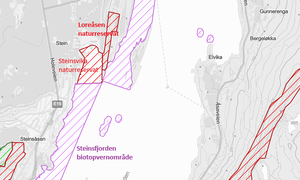 Steinsfjorden verneområder[1]