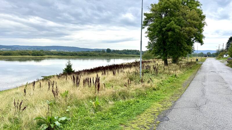 Saksbilde