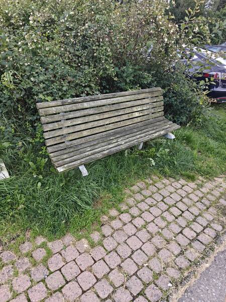 Saksbilde