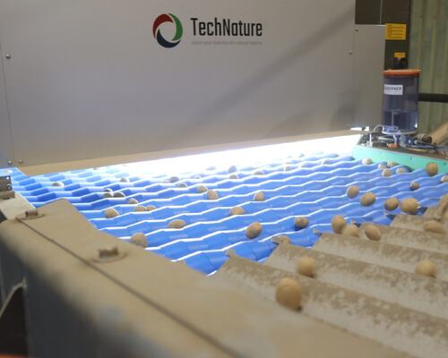 IMG_0526-scaled-e1728022980720