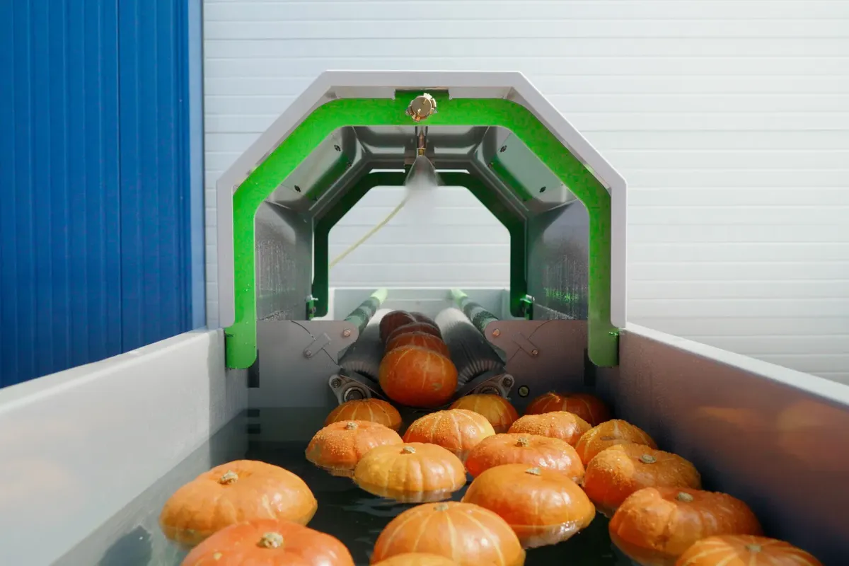 pompoenwasser_cOyZz8eJGRsf-