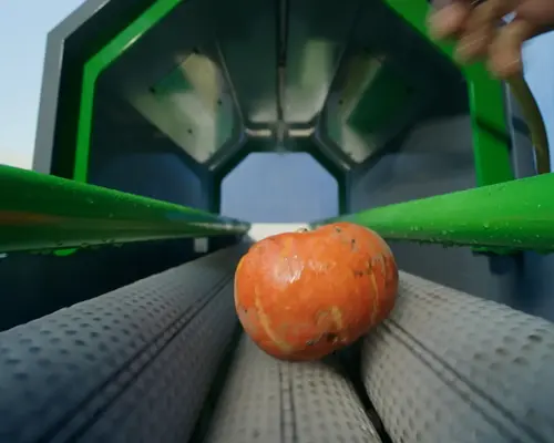 pompoenwasser_ODz1Mvy5aYX5-