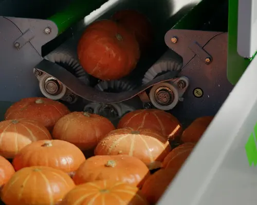 pompoenwasser_LbhmDpTilGQn-