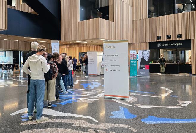 Mennesker står i kø for å avgi stemme