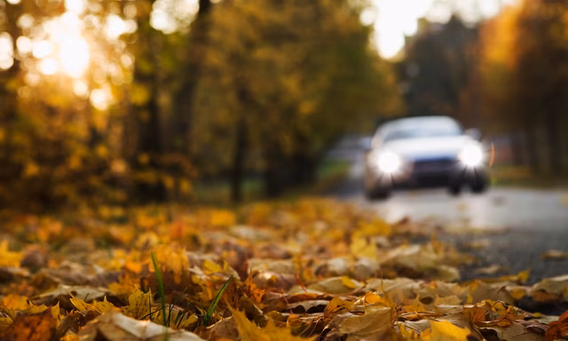 Det er snø i lufta og temperaturer ned mot null grader. Sjekk om du må skifte dekk allerede nå. Foto: Storebrand