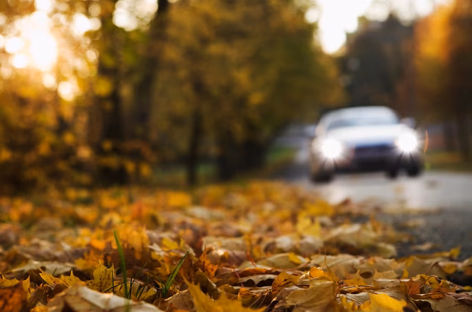 Det er snø i lufta og temperaturer ned mot null grader. Sjekk om du må skifte dekk allerede nå. Foto: Storebrand