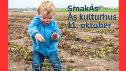 Foto av en liten gutt på en åke