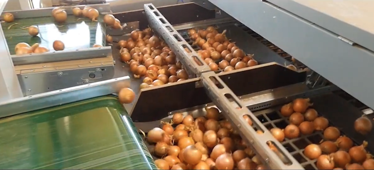 Skjermbilde 2025-10-01 kl