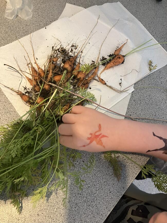 Lek med naturmaterialer