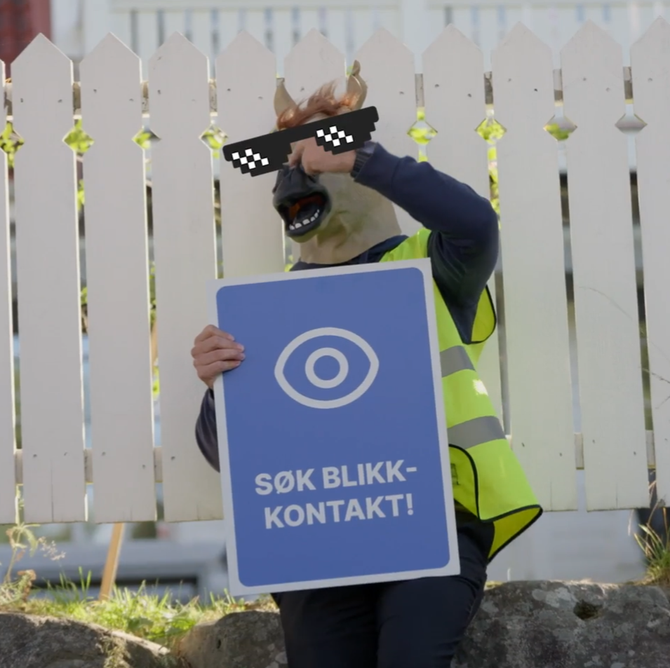 Søk blikkontakt med rytter/kusk