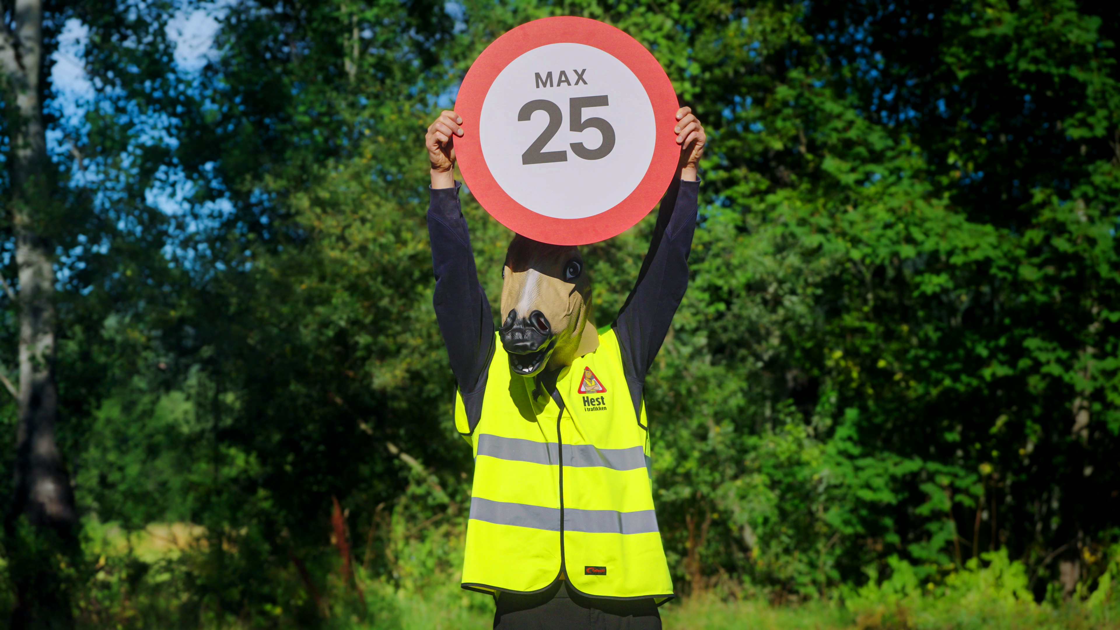 Passer hesten i max 25 kmt