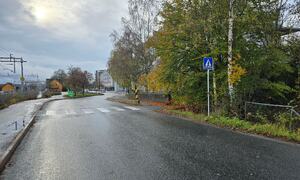 Fotgjengerovergang