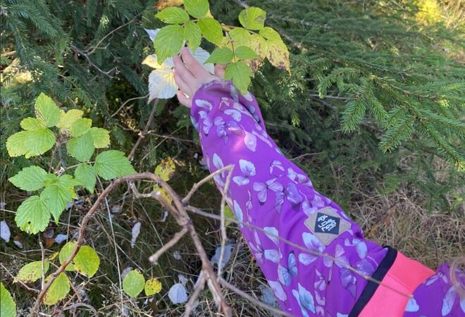 Barn plukker i naturen