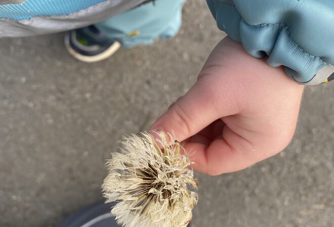 ingressbilde Snøfallet oktober 2025