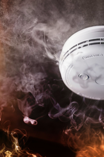 Kred: AdobeStock - Tryg Forsikring