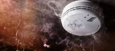 Kred: AdobeStock - Tryg Forsikring