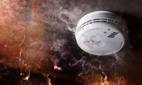 Kred: AdobeStock - Tryg Forsikring