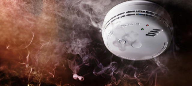 Kred: AdobeStock - Tryg Forsikring