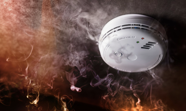 Kred: AdobeStock - Tryg Forsikring Kred: AdobeStock - Tryg Forsikring