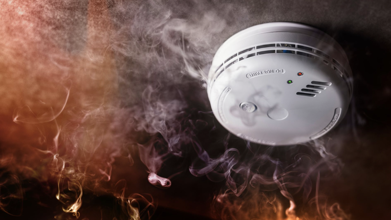 Kred: AdobeStock - Tryg Forsikring