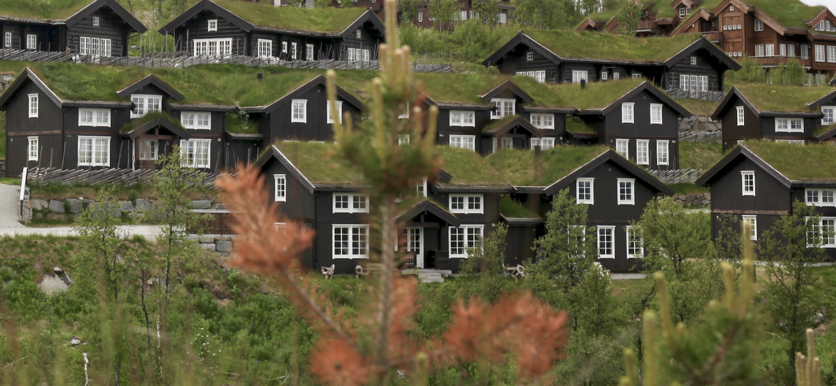 Illustrasjonsbilde. Foto: Leif Magne Flemmen