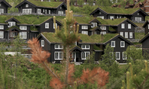 Illustrasjonsbilde. Foto: Leif Magne Flemmen Illustrasjonsbilde. Foto: Leif Magne Flemmen