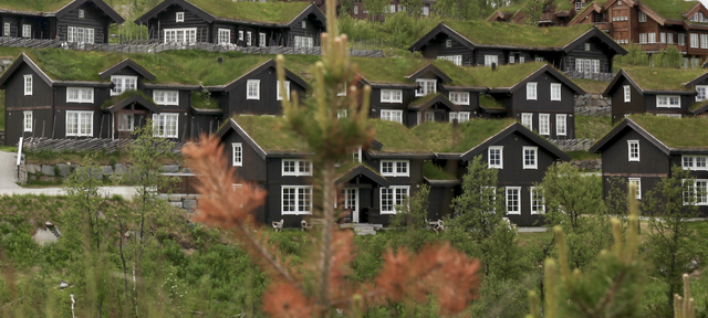 Illustrasjonsbilde. Foto: Leif Magne Flemmen Illustrasjonsbilde. Foto: Leif Magne Flemmen