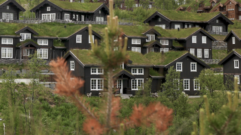 Illustrasjonsbilde. Foto: Leif Magne Flemmen