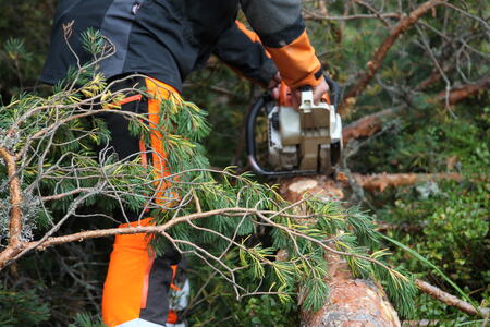 Foto: Leif Magne Flemmen