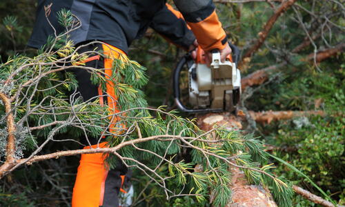 Foto: Leif Magne Flemmen