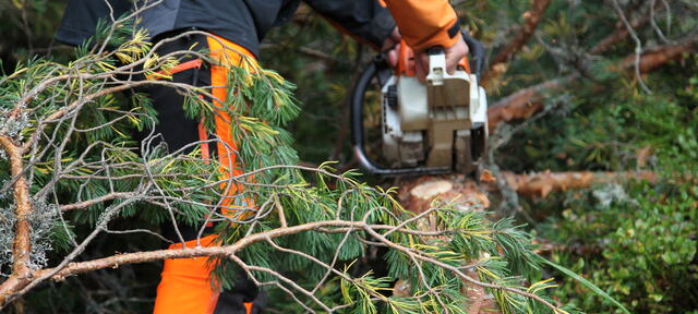 Foto: Leif Magne Flemmen