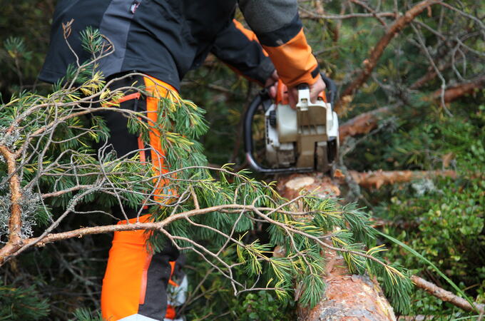 Foto: Leif Magne Flemmen