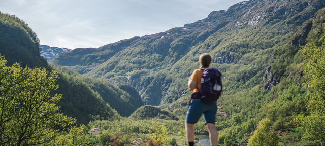 Aurlandsdalen er en av DNTs Historiske vandreruter. Dette er et samarbeid mellom DNT og Riksantikvaren, som gjør gamle ferdselsveier bedre kjent og mer brukt. Foto: Linn Holstad Hines