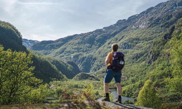 Aurlandsdalen er en av DNTs Historiske vandreruter. Dette er et samarbeid mellom DNT og Riksantikvaren, som gjør gamle ferdselsveier bedre kjent og mer brukt. Foto: Linn Holstad Hines