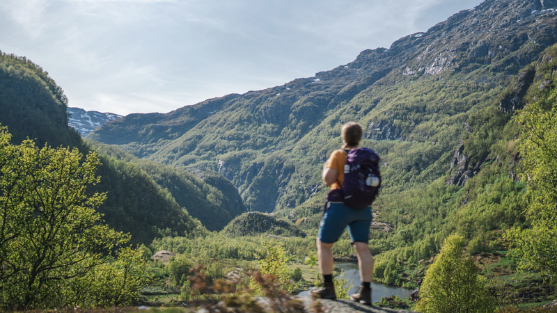 Aurlandsdalen er en av DNTs Historiske vandreruter. Dette er et samarbeid mellom DNT og Riksantikvaren, som gjør gamle ferdselsveier bedre kjent og mer brukt. Foto: Linn Holstad Hines Aurlandsdalen er en av DNTs Historiske vandreruter. Dette er et samarbeid mellom DNT og Riksantikvaren, som gjør gamle ferdselsveier bedre kjent og mer brukt. Foto: Linn Holstad Hines