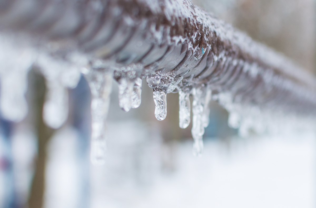 AdobeStock Tryg Forsikring