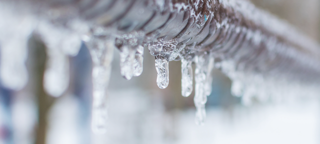 AdobeStock Tryg Forsikring