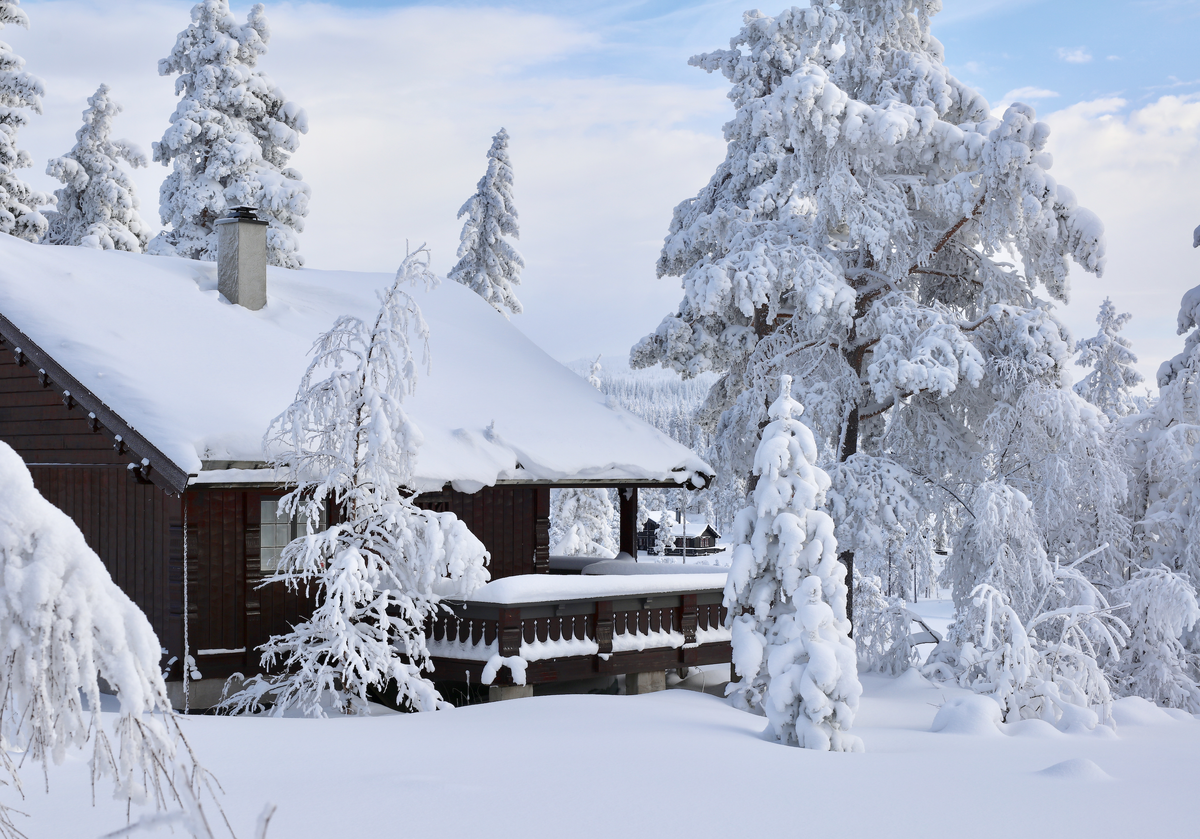 Foto: Leif Magne Flemmen