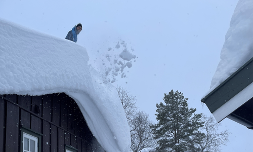 Foto: Arbeidstilsynet Foto: Arbeidstilsynet