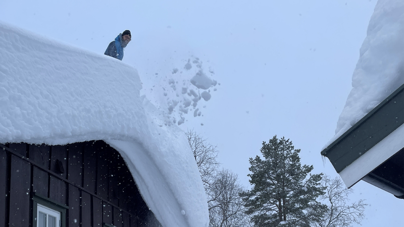 Foto: Arbeidstilsynet