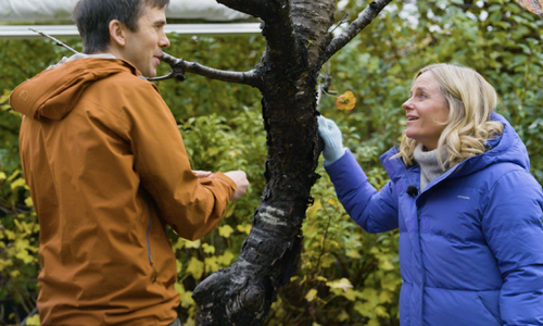 Fugleekspert i WWF, Sverre Lundemo, og fuglenysgjerrig Solveig Kloppen. Foto: Funkel/WWF Verdens naturfond Fugleekspert i WWF, Sverre Lundemo, og fuglenysgjerrig Solveig Kloppen. Foto: Funkel/WWF Verdens naturfond