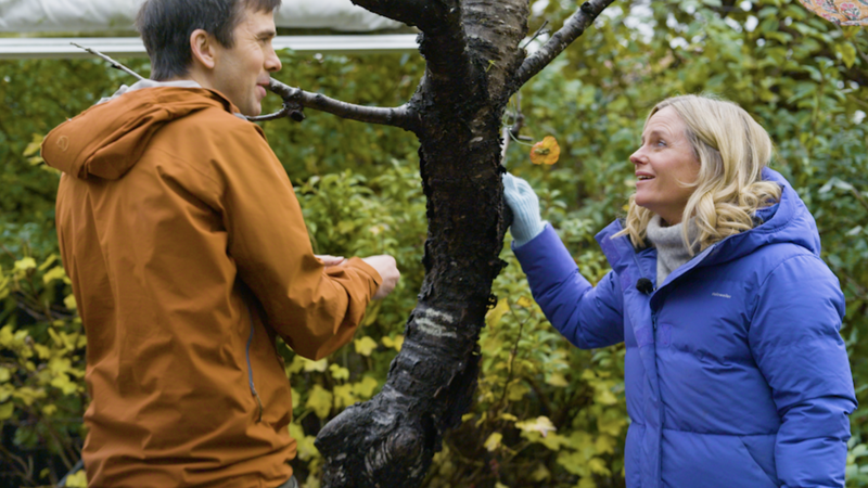 Fugleekspert i WWF, Sverre Lundemo, og fuglenysgjerrig Solveig Kloppen. Foto: Funkel/WWF Verdens naturfond Fugleekspert i WWF, Sverre Lundemo, og fuglenysgjerrig Solveig Kloppen. Foto: Funkel/WWF Verdens naturfond