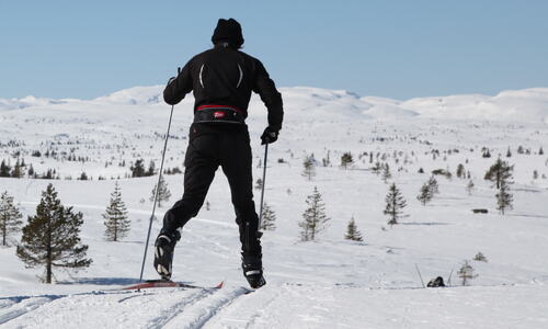 Foto: Leif Magne Flemmen