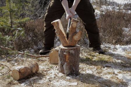 Tilgangen til ved kan vise seg å bli essensiell i en krisesituasjon. Foto: Leif Magne Flemmen