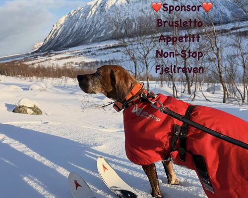 C1311C93-269D-4D6E-9DF4-EFDD2F12BD8D