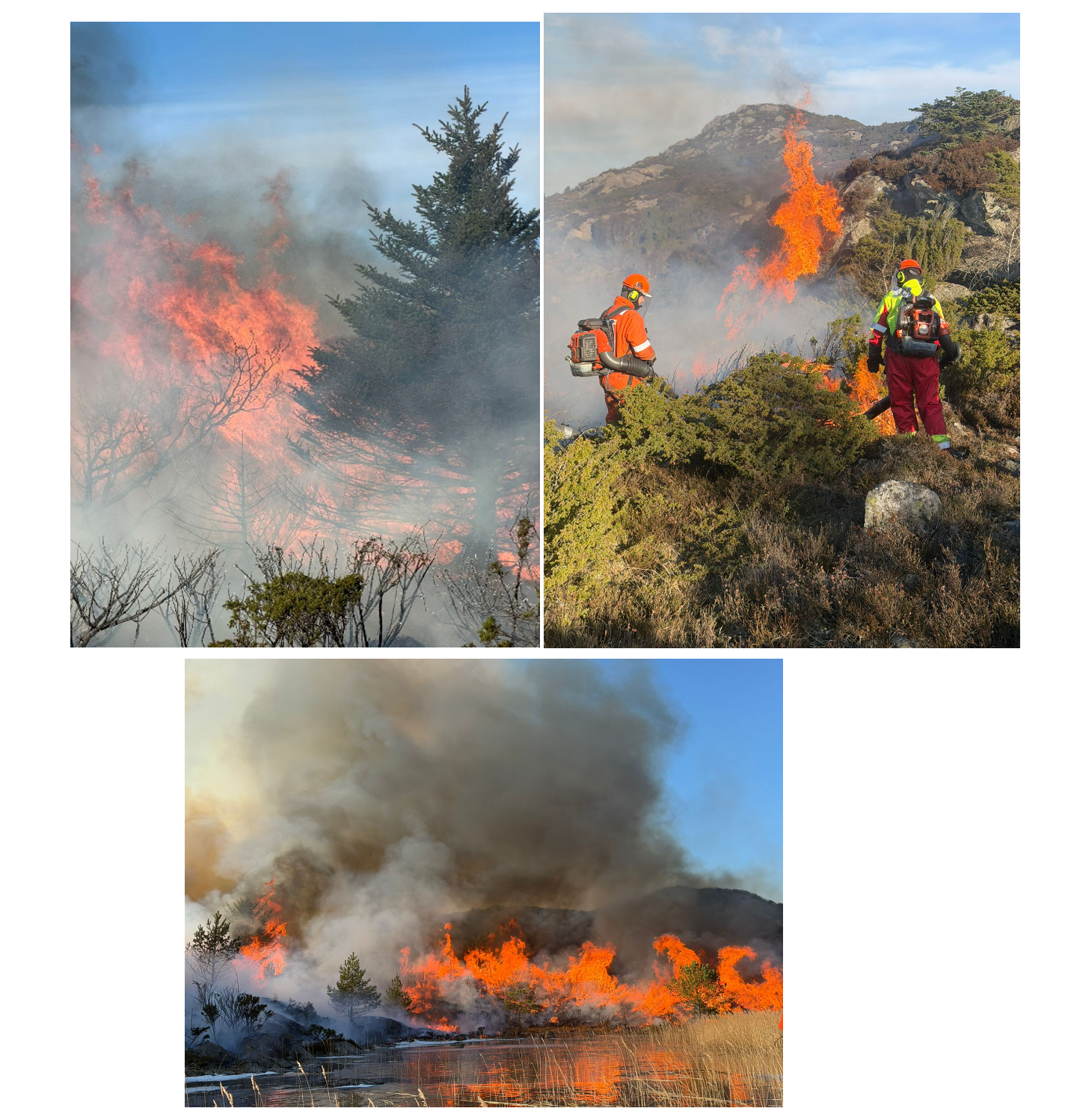 Figure 6 - Prescribed burn practice in Bokn Rogaland, January 2026