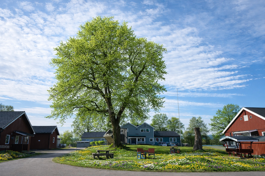 Søndre Vestfold fengsel - Berg avdeling